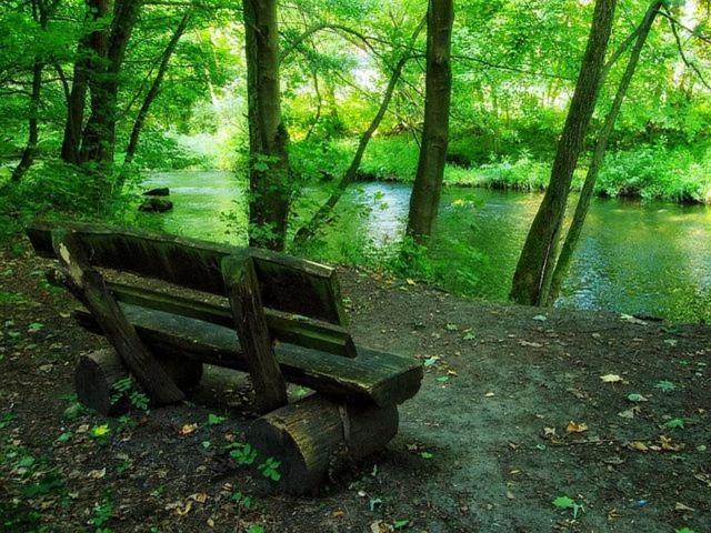 Ferienwohnung Maifeld Wierschem Bagian luar foto