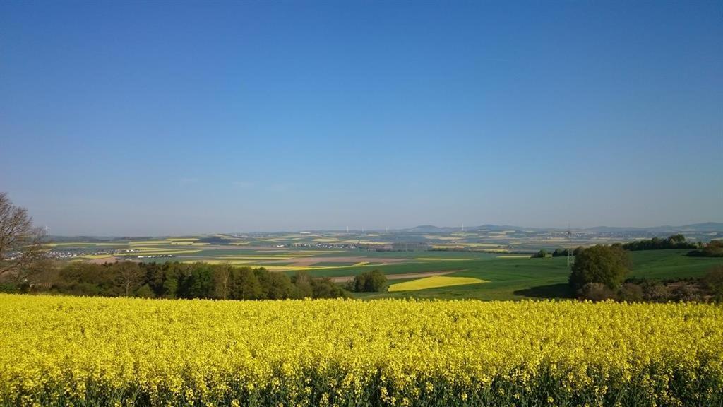 Ferienwohnung Maifeld Wierschem Bagian luar foto
